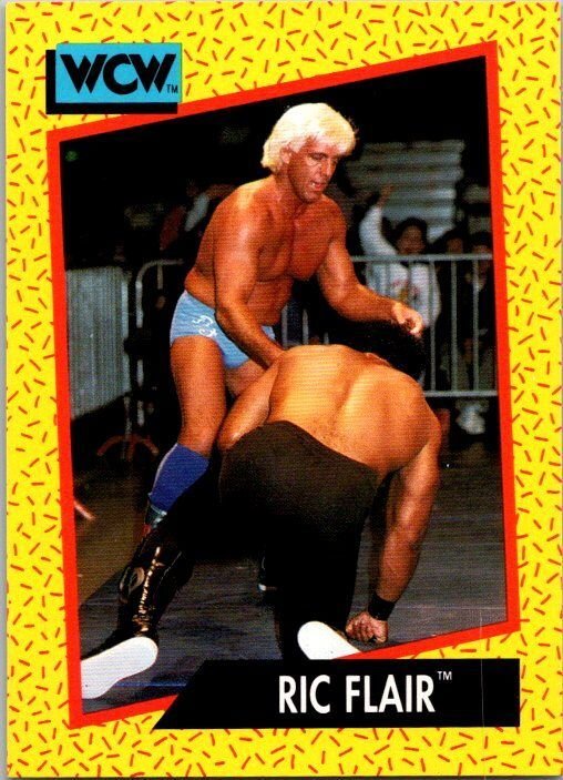 1991 WCW Wrestling Card Ric Flair sk21160