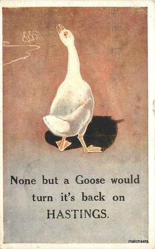 1920s Hastings UK Goose Beach Resort Advertising Salmon postcard 8116