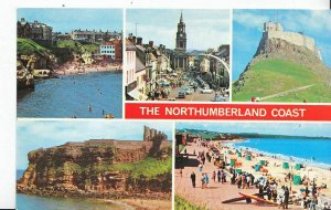 Northumberland  Postcard - Views of The Northumberland Coast     XX105