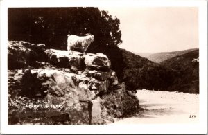 Real Photo Postcard Mountain Goat in the Hills of Kerrville, Texas