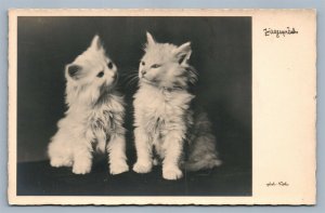 PHOTOGRAPHER SIGNED VINTAGE AUSTRIAN REAL PHOTO POSTCARD RPPC w/ TWO CATS 