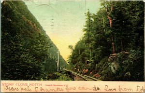 Stony Clove Notch Catskill Mountains New York NY 1906 UDB Postcard D11