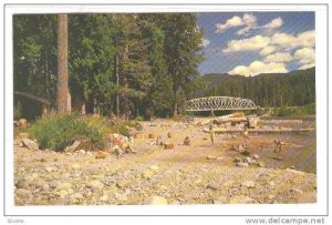 Hirsch Creek Campsite, The Aluminum City, Kitimat, British Columbia, Canada...