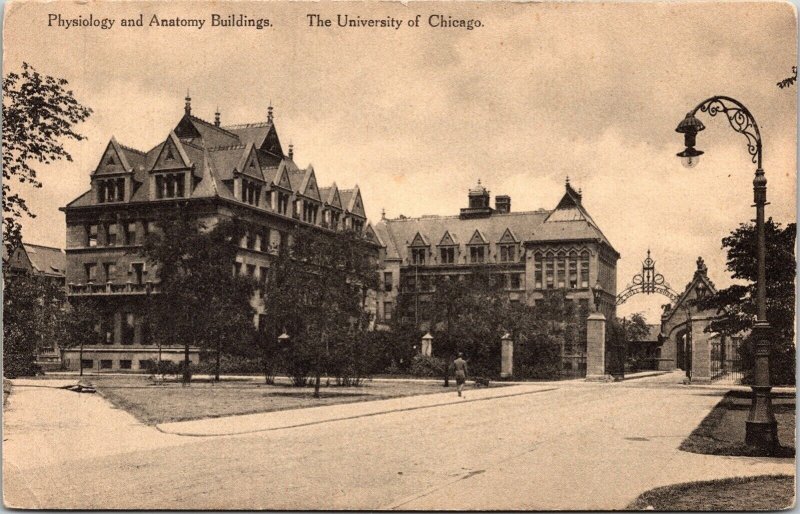 Physiology Anatomy Buildings University Chicago BW Antique Divided Back Postcard 