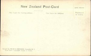 Steamship in New Zealand USS Coy Manuka c1910 Postcard