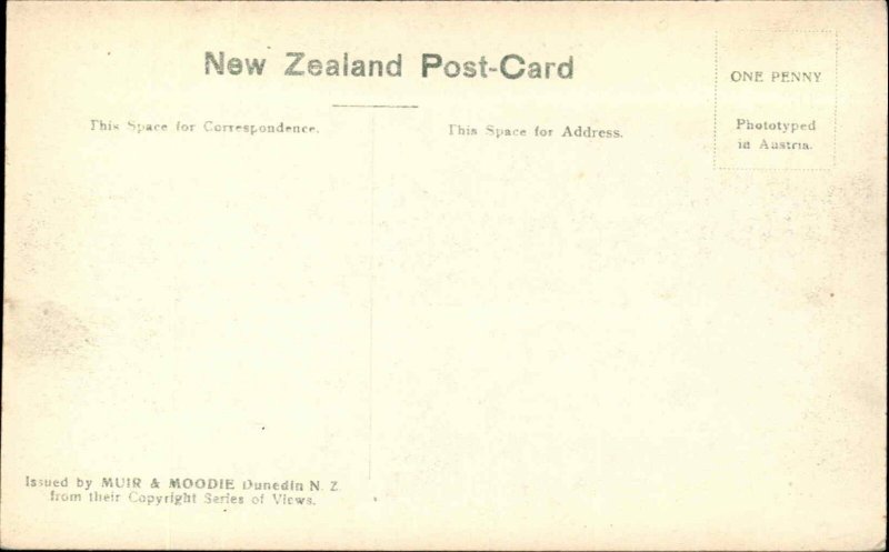 Steamship in New Zealand USS Coy Manuka c1910 Postcard