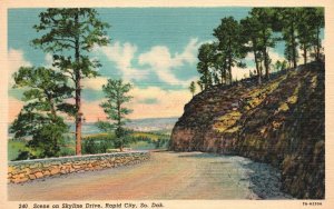 Vintage Postcard Scene On Skyline Drive Roads & Highways Rapid City South Dakota