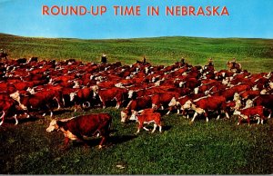 Nebraska Round Up Time 1963