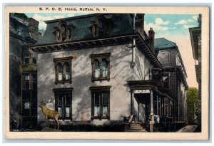 c1920's BPOE Home Building Elks Statue Buffalo New York NY Unposted Postcard