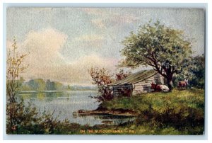 c1910's View On The Susquehanna Pennsylvania PA Unposted Antique Postcard 