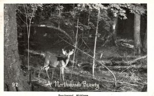 Vintage Postcard 1960's A Northwood's Beauty Beechwood Michigan MI