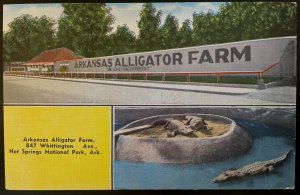 Vintage Postcard 1930-1945 Alligator Farm, Hot Springs, Arkansas (AR)