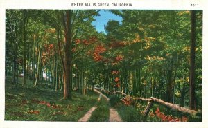 Vintage Postcard 1930's Where All Green Beautiful Scenic View Trail California