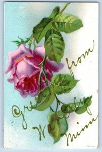 Waverly Minnesota MN Postcard Greetings Flower Pink Rose 1909 Vintage Antique