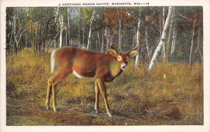 Northern Woods Native Marinette, Wisconsin Deer 1933 