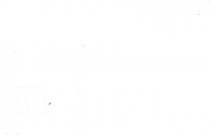 Monarch or Tunnel Tree Petrified Redwood Forest† Zan E-6 - Santa Rosa, Cali...