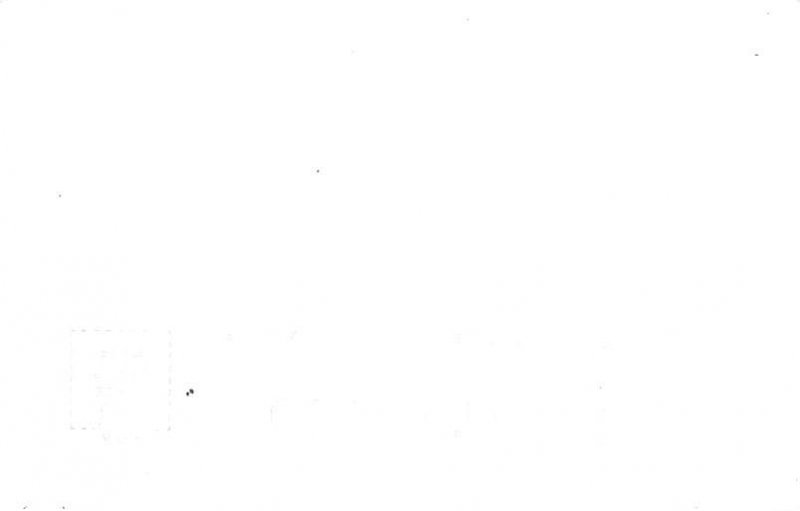 Monarch or Tunnel Tree Petrified Redwood Forest† Zan E-6 - Santa Rosa, Cali...