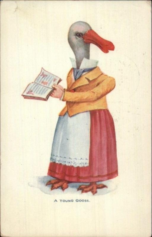 Fantasy A YOUNG GOOSE Head on Woman w/ Book c1905 Postcard jrf