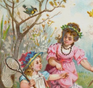 1870s-80s Victorian Trade Card Girls Butterfly Insect Net Bird Cattails F149