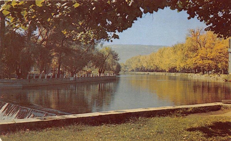 Reno Nevada~Truckee River & Falls~1950s Postcard