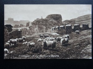 Cornwall TINTAGEL Sheep & King Arthur's Castle - Old Postcard by Frith