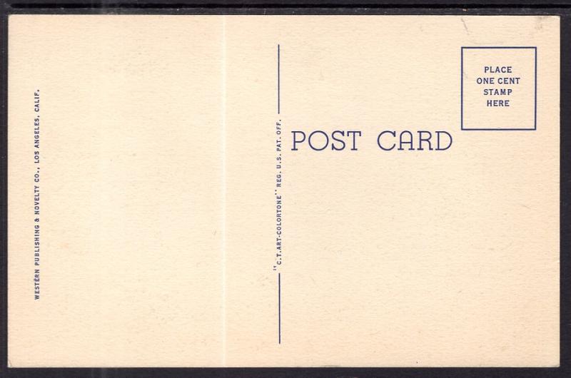 A Few Varieties of Desert Cacti