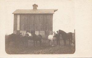 RPPC Postcard Americana Farm Scene Men Holding Horses + Barn