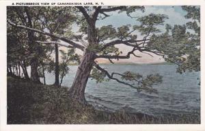 Canandaigua Lake NY, New York - Picturesque View - WB