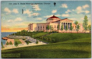 Chicago Illinois ILL, John G. Shedd Memorial Aquarium Building, Vintage Postcard