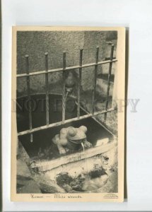 472765 Latvia Kemeri fountain frog Vintage photo postcard