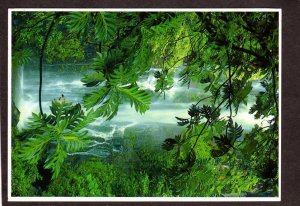 Hi Waterfall at Kipahulu Rain Forest Maui Hawaii Postcard