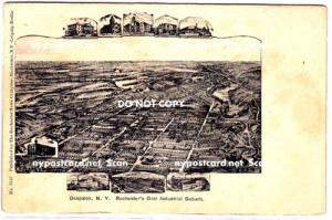 Rochester's Grat Industrial Suburb, Despatch NY