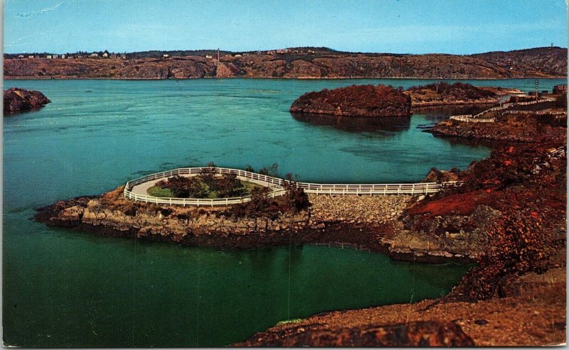 Reversing Falls Bay Fundy St John River New Brunswich NB Canada Postcard VTG UNP 