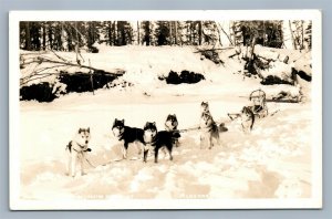 ALASKAN DOG SLEDDING VINTAGE REAL PHOTO POSTCARD RPPC