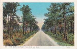 Pines on the State Highway - Cape Cod, Massachusetts - WB