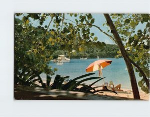 Postcard Sea-grape trees, Caneel Bay Plantation, St. John, U. S. Virgin Islands