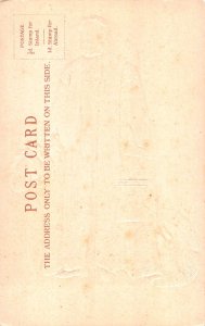 Personality Chancellor Exchequer Right Hon Sir Michael embossed postcard C354