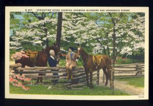 Scenic Springtime Scene Postcard, Horseback Riders, Horses, Dogwood Blossoms