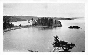 Rosario Beach Washington Clyde banks Birds Eye View Vintage Postcard AA65944