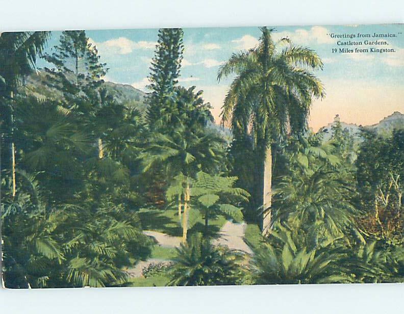 Old Postcard CASTLETON GARDENS Castleton - Near Kingston Jamaica F5634