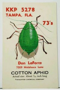 QSL Tampa Fl KKP-5278 CB Radio LaForce Staffer Chem. Cotton Aphid Postcard I19