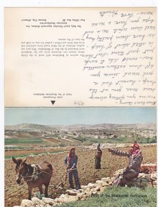 Israel Bethlehem Field Of Shepherds With Soil From The Holy Land