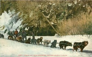 Alaskan Canyon Yukon Dog Team Mitchell C-1910 Postcard Winter 11418
