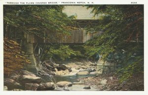 USA Through Flume Covered Bridge Franconia Notch New Hampshire Postcard 04.18