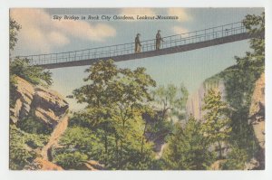 P2913,vintage unused postcard sky bridge in rock gardens lookout mountain TN