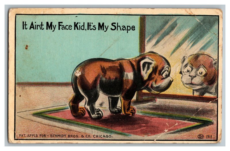 It Ain't My Face Kid It's My Shape Vintage Standard View Postcard Dog In Mirror