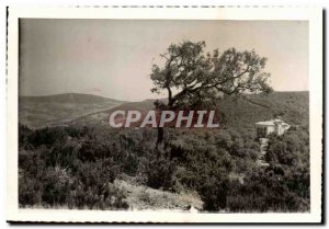 Old Postcard Tunisia