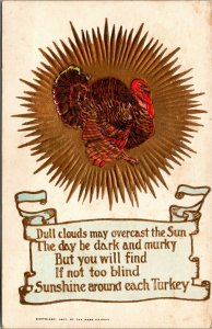 Vtg Thanksgiving Holiday Sunshine Around Each Turkey Gold Embossed 1907 Postcard