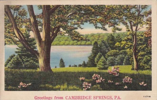 Pennsylvania Greetings From Cambridge Springs 1942