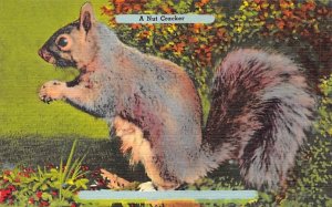 Nut Cracker Squirrel / Chipmunks / Woodchucks Unused 